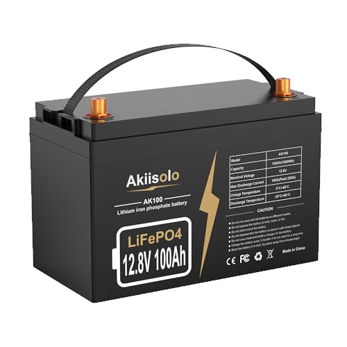 12V 100Ah Lithium Battery LiFePO4 Deep Cycle Battery